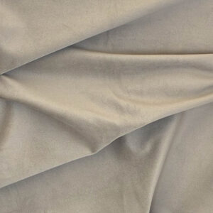 Ashwan- Mushroom (P)