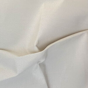 Venture- Eggshell (P)